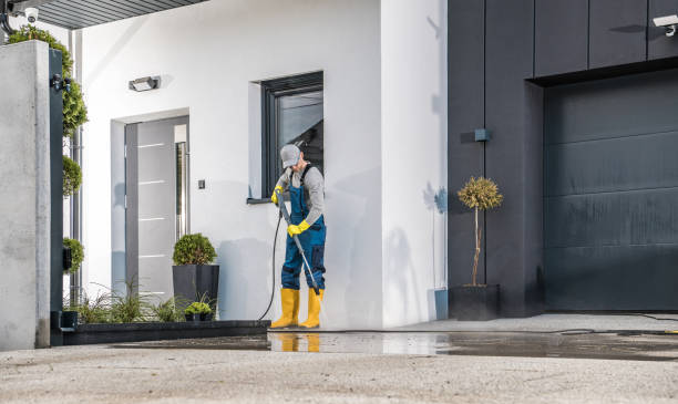 Best Fence Cleaning and Maintenance in Holly Hills, CO
